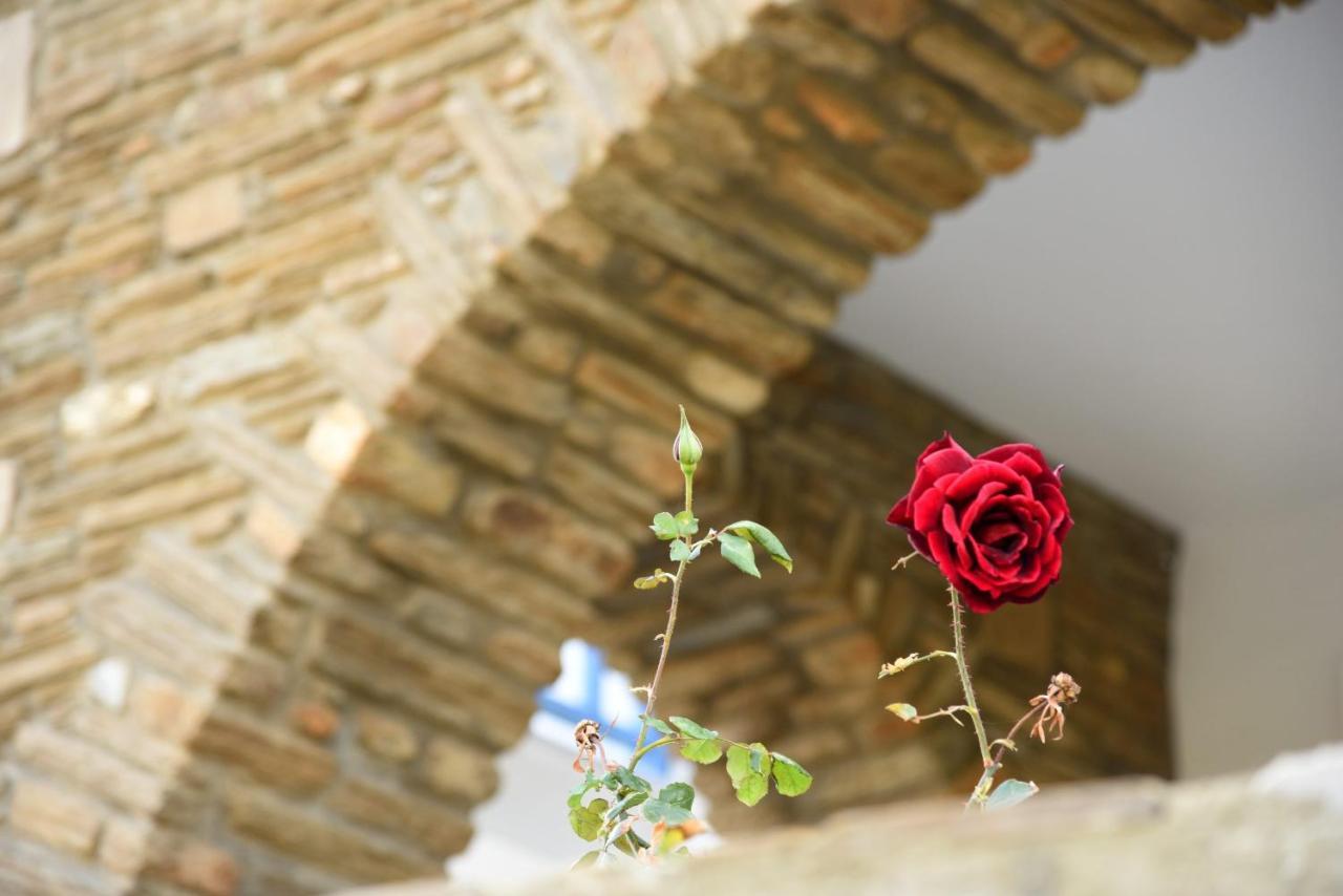 Andros Guesthouses ภายนอก รูปภาพ